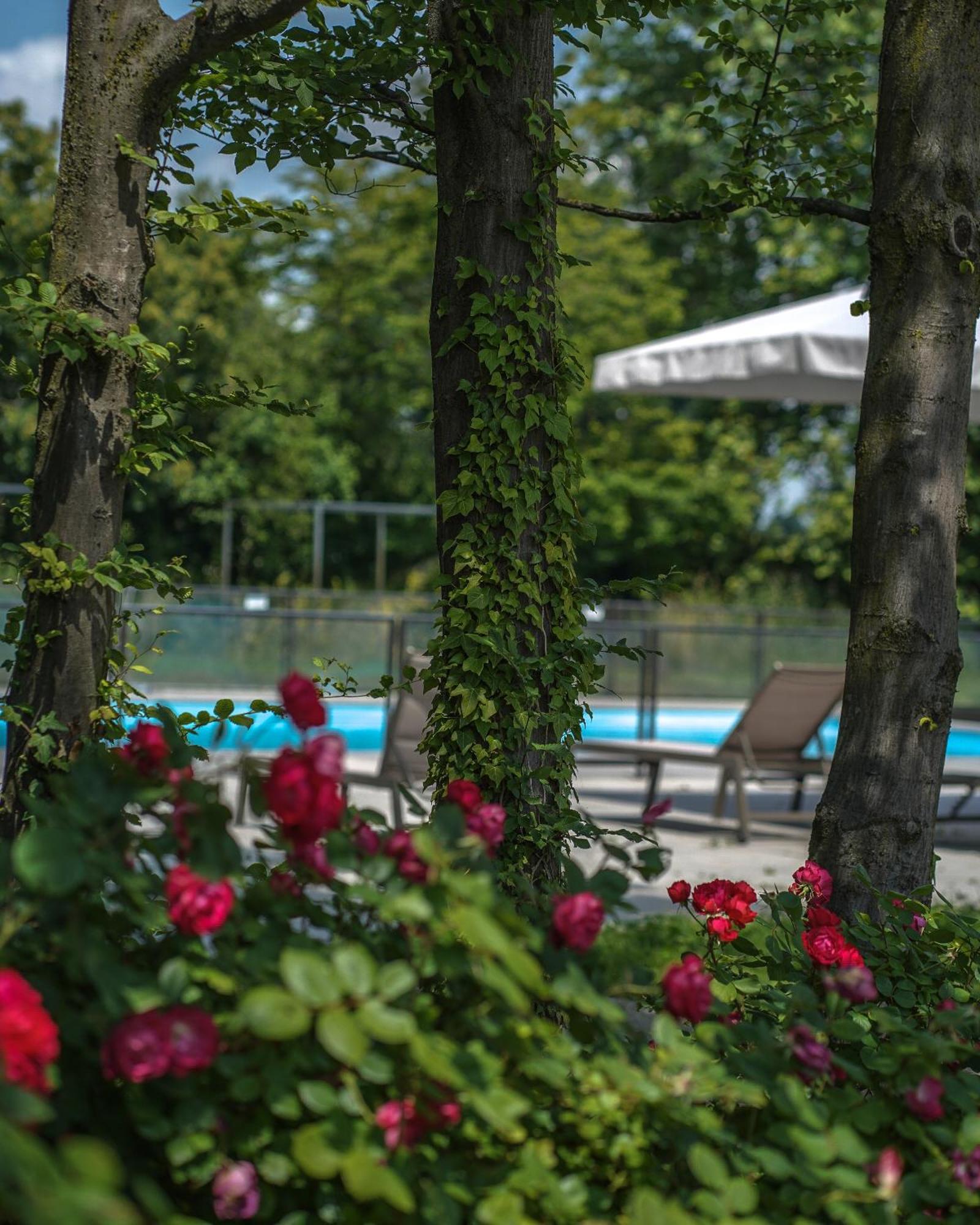 Alle Siepi Reggio Emilia Eksteriør billede